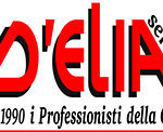 d_elia-service-infiltrazioni-gas-traccianti-linee-vita-torino-215x122